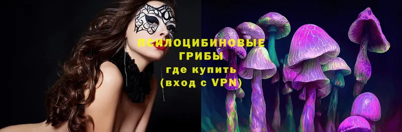 Псилоцибиновые грибы Psilocybe  Буй 